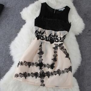 Fashion Embroidered Sleeveless Dress #100209sdf