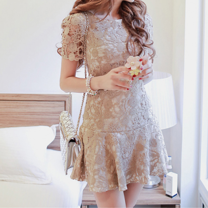 Slim Short Sleeve Embroidered Lace Dress..