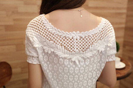 Short-sleeved Embroidered Lace Blouse #AD101010HJ on Luulla